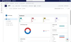 QMS i 2026: Audit Dashboard